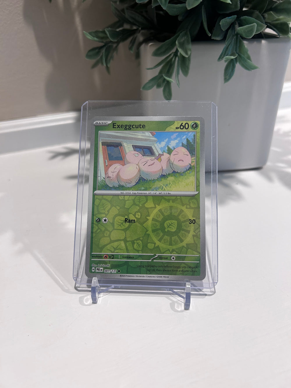Top Loader Sleeves